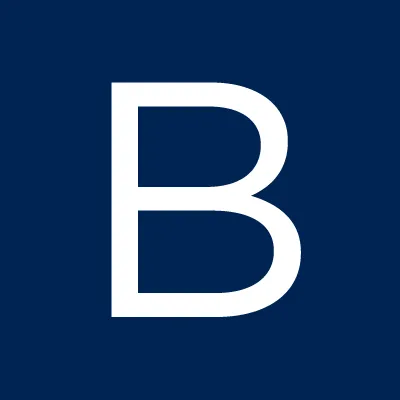 bgllp.com's icon