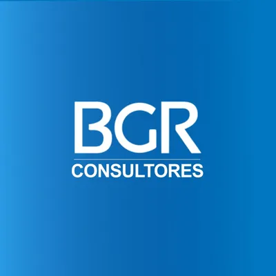 bgrconsultores.com's icon