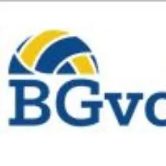 bgvolleyball.com's icon