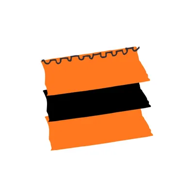 bharatexotics.com's icon