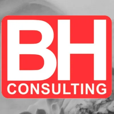 bhconsulting.com.ar's icon