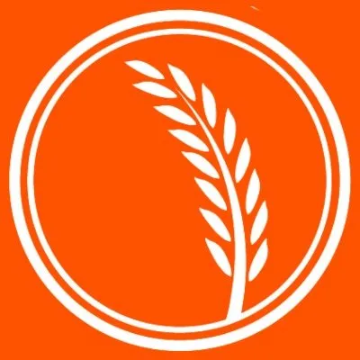 bibibop.com's icon