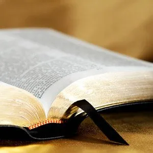 biblepuzzles.com's icon