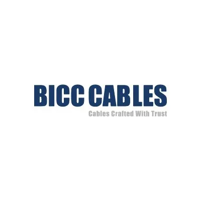 bicccables.com's icon