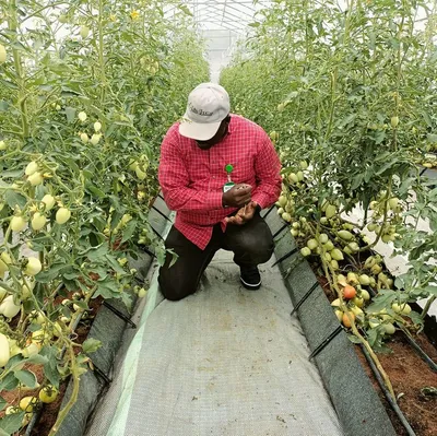 bicfarmsconcepts.com's icon