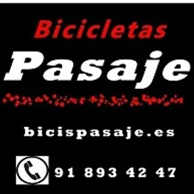 bicispasaje.es's icon