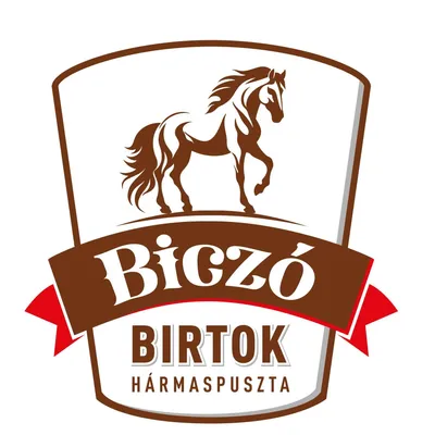 biczocsarda.hu's icon