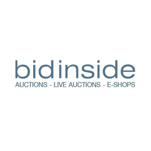 bidinside.com's icon