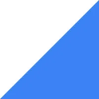 bidscopeai.com's icon
