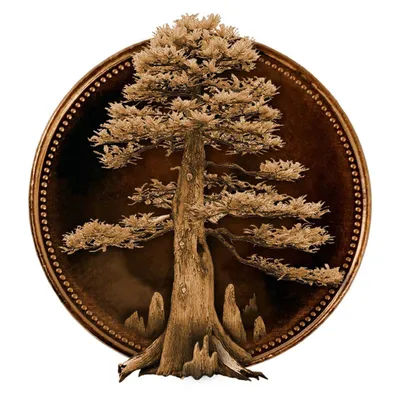 big-cypress.com's icon