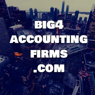 big4accountingfirms.com's icon