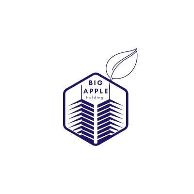 bigappleholding.com's icon