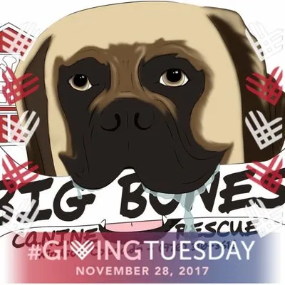 bigbonescaninerescue.com's icon
