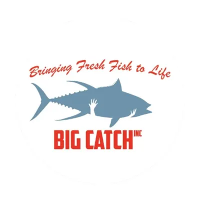bigcatchinc.com's icon