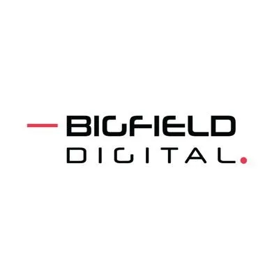 bigfielddigital.com's icon