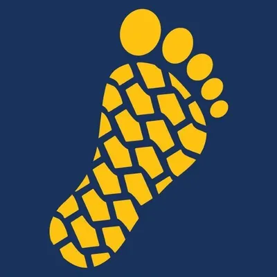 bigfoot.co.nz's icon