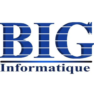 biginformatique.com's icon