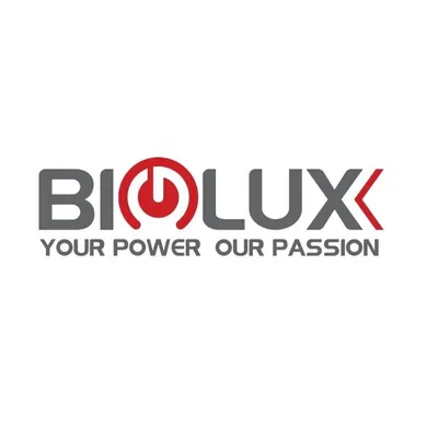bigluxpower.com's icon
