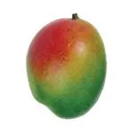 bigmangoproperties.com's icon