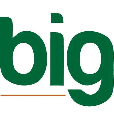 bigowner.pk's icon