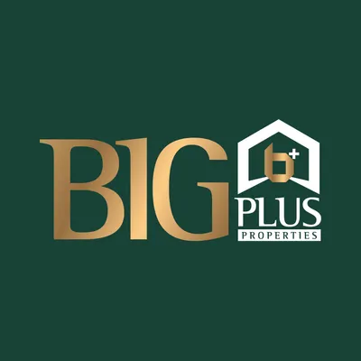 bigplus.com.my's icon