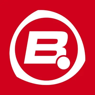 bigpoint.com's icon