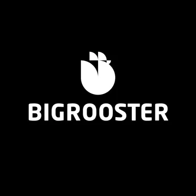 bigrooster.se's icon