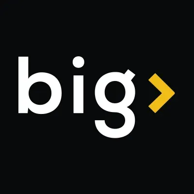 Big Smart's icon