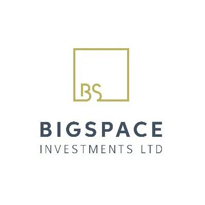 bigspaceinvestments.com's icon