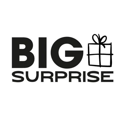 bigsurprise.cl's icon