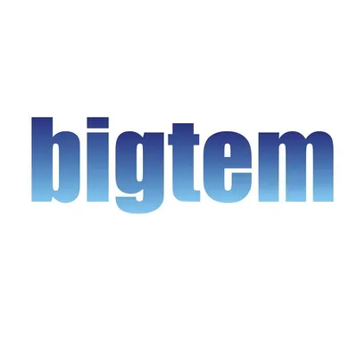 bigtem.com's icon