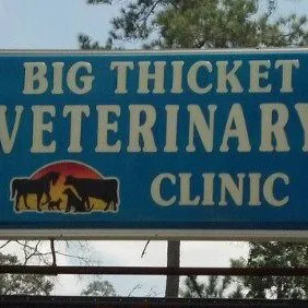 bigthicketvetclinic.com's icon