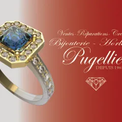 bijouterie-pugellier.fr's icon