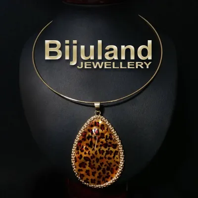 bijuland.bg's icon