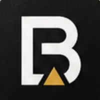 bina-bi.co.il's icon