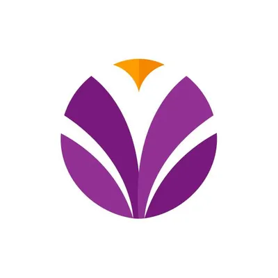 binar.co.id's icon