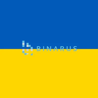 binarus.lt's icon