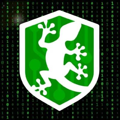 binarygecko.com's icon