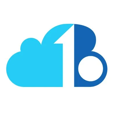 binarywebservices.com's icon