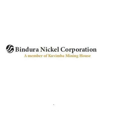 binduranickel.co.zw's icon