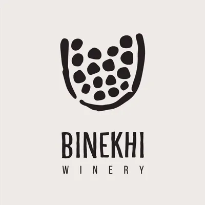 binekhi.com's icon