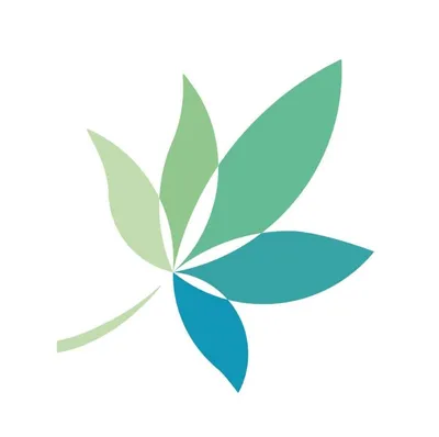 binnol.com's icon