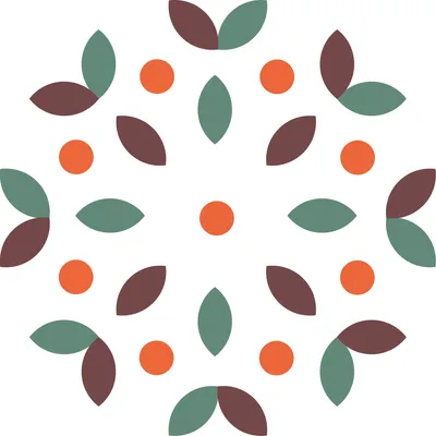 biok.center's icon