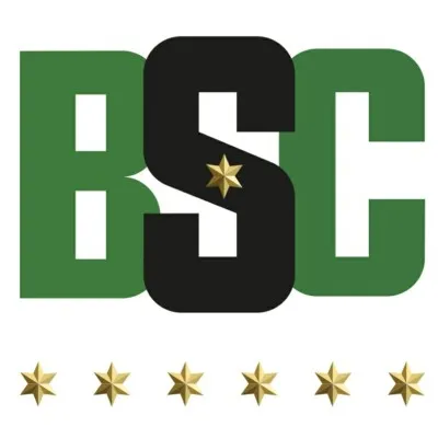 biosystemsconsultants.com's icon