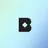birchbox.com logo