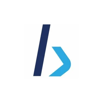 bircube.com's icon