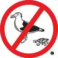 birdbgone.com's icon