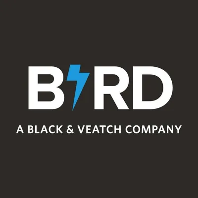 birdelectricinc.com's icon