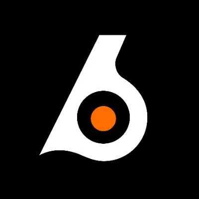 birdeye.so's icon