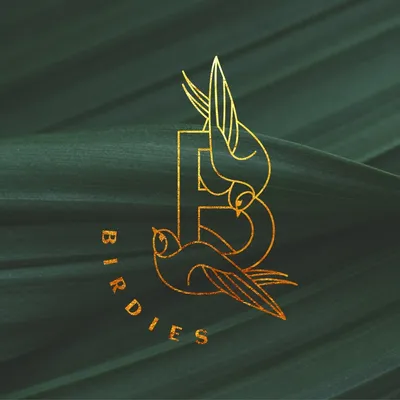 birdiesevent.com's icon